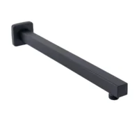 Brazo Regadera Negro Pontina