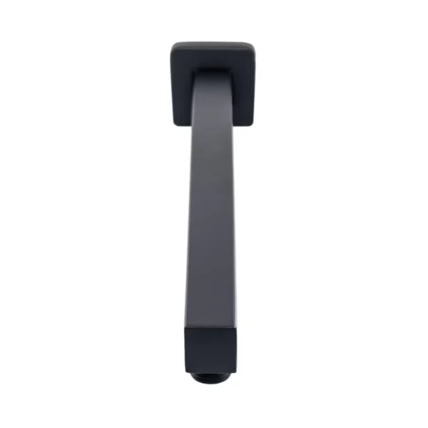 Brazo Regadera Negro Pontina