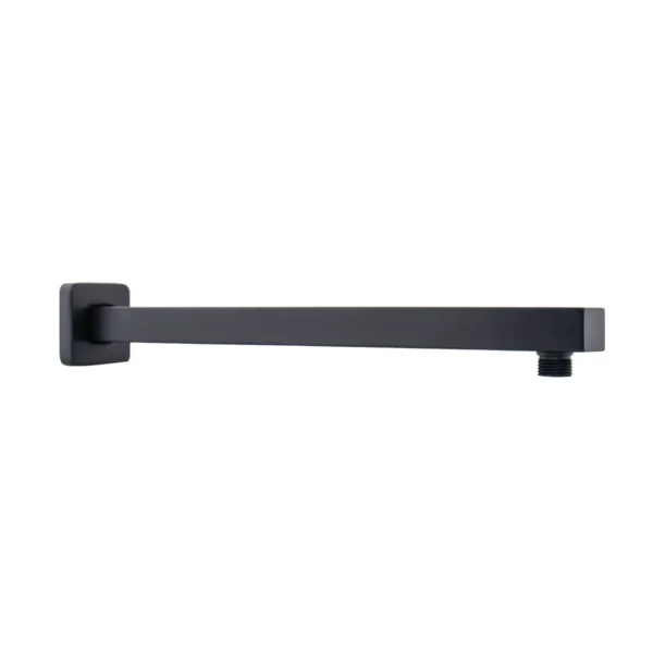Brazo Regadera Negro Pontina