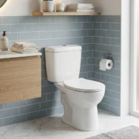 Sanitario Two-piece Piacenza Blanco Descarga 400 Gramos