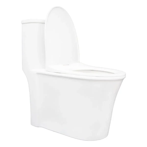 172284-1200-1200 Sanitario One-piece Singolare Blanco Descarga 1000 Gramos Con Anillo De Cera Conexión 1/2