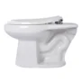 172350-1200-1200 Taza Institucional Entrada Superior Olimpo Con Asiento