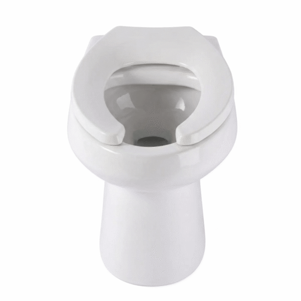 Taza Institucional Entrada Posterior Olimpo/asiento