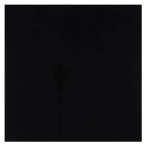 Porcelanato Black Brillante 60 X 60 Cms. T3 Caja X 1.44 M² V2